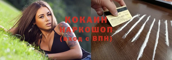 мяу мяу мука Карталы
