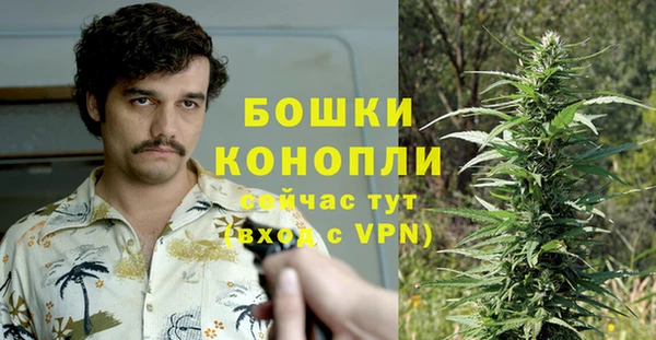 круглые Карпинск