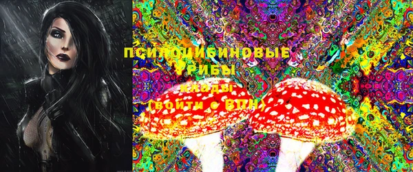 мяу мяу мука Карталы