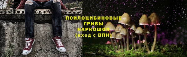 мяу мяу мука Карталы