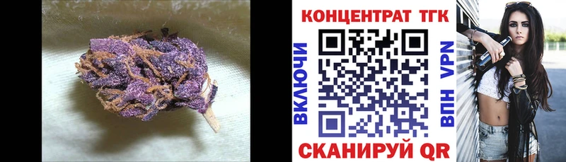 ТГК концентрат  Купить где  Грайворон 