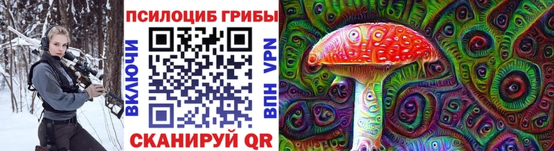 Купить  Грайворон  Галлюциногенные грибы Psilocybine cubensis 